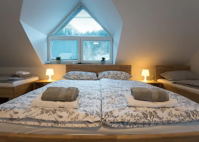 Teja * 克拉尼斯卡戈拉